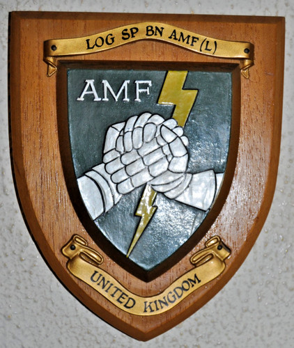 Logistic support battalion - logistic,