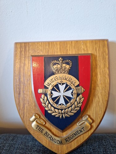 The bermuda regiment - regiment, /