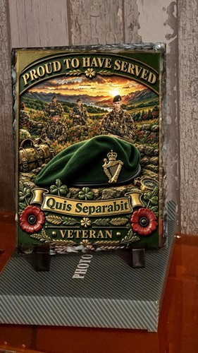 Ulster defence regiment proud - ulster,