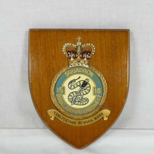 Raf regiment squadron - 15,